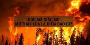 Điềm báo khi nằm mơ thấy lửa