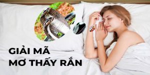 Nằm mơ thấy rắn mang nhiều ý nghĩa về phong thủy và tâm linh